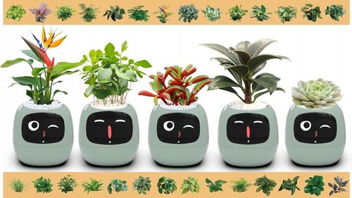 Inteligentna doniczka IVY SMART PLANTER osłonka na donicę PLANTSIO ZIELONA na Arena.pl