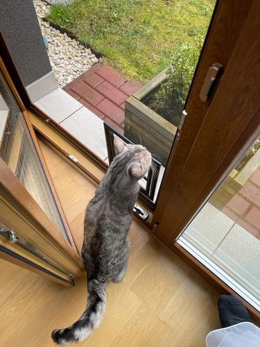 DRZWICZKI moskitiery dla kota i psa (ras małych) na Arena.pl