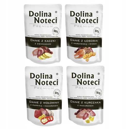 Dolina Noteci Premium Danie Mix smaków 20x100g na Arena.pl