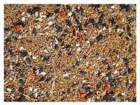 5kg Karma dla drobnej egzotyki zeberki papugi falistej amadyny Premium