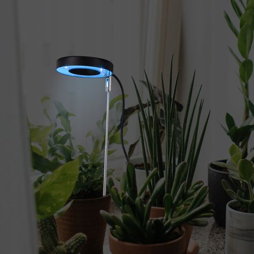 Lampa do Wzrostu Roślin 48 LED Timer + Pilot na Arena.pl
