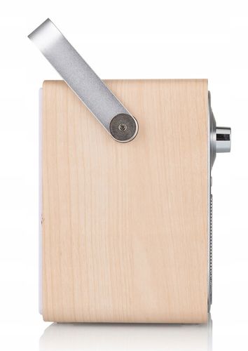 Radio FM DAB+ Bluetooth na Arena.pl