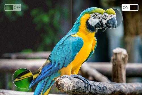 Telewizor SMART TV 32' HD USB DVB-T2/S2 H.265 HEVC na Arena.pl