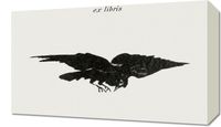 Obraz 50x30cm Flying Raven, Édouard Manet Vintage do Salonu