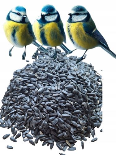 Słonecznik czarny 14 kg pokarm dla papug karma dla ptaków GRTIS kula tluszc na Arena.pl