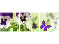 70 90CM OBRAZ 3 ELEM BRATKI MOTYLKI ŚCIENNY DRUK PŁÓTNO