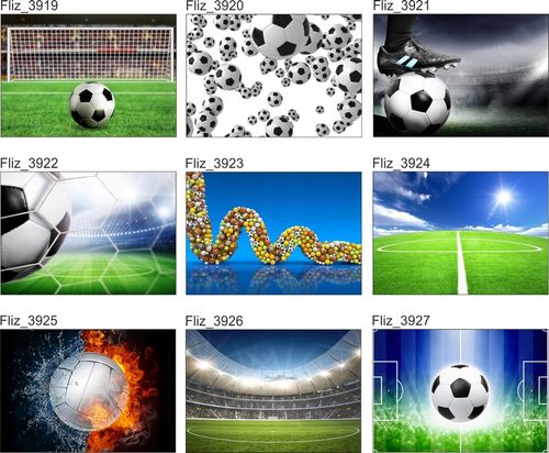 FOTOTAPETA PIŁKARSKA BRAMKARZ GOL 395x280 na Arena.pl