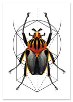 Plakat cyfrowy do wydruku geometria żuk