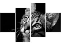 140CM 70 OBRAZ SPOJRZENIE VISUALPANIC ŚCIENNY