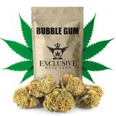 Susz konopny Bubble Gum CBD 100g