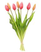 TULIPAN sztuczny TULIPANY SILIKONOWE BUKIET 7 sztuk RÓŻOWE FUKSJA