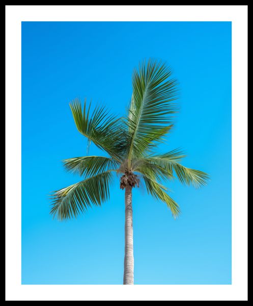 Plakat 40x50cm Wyżyny Nieba zdjęcie 3