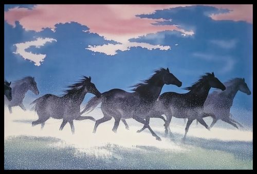 Plakat 60x40cm Wolność i Swoboda na Arena.pl