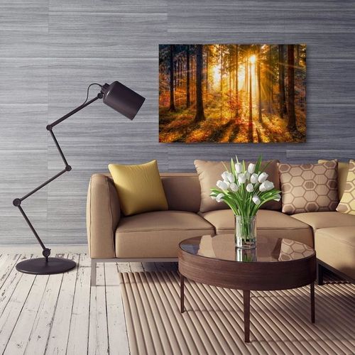 Deco Panel, Las o zachodzie słońca 40x30 na Arena.pl