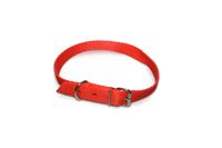 A-010 OBROŻA DLA PSA TAŚMA 20MM 43-51cm Kolor - Czerwony
