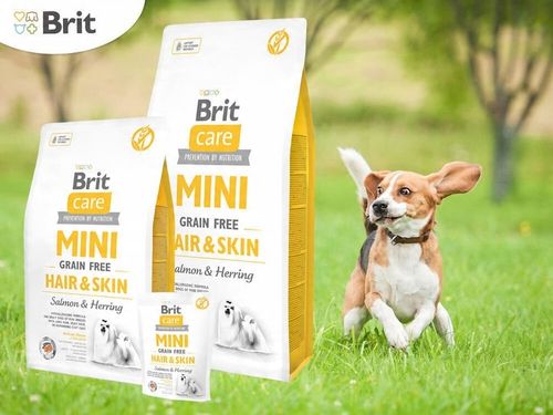 Karma dla psa BRIT Łosoś ze śledziem 7 kg na Arena.pl