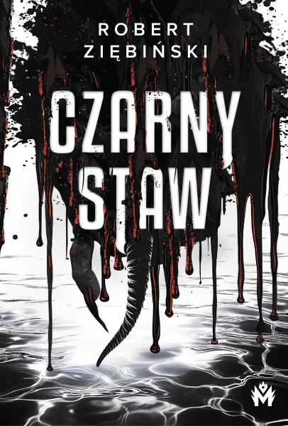 Czarny Staw zdjęcie 1