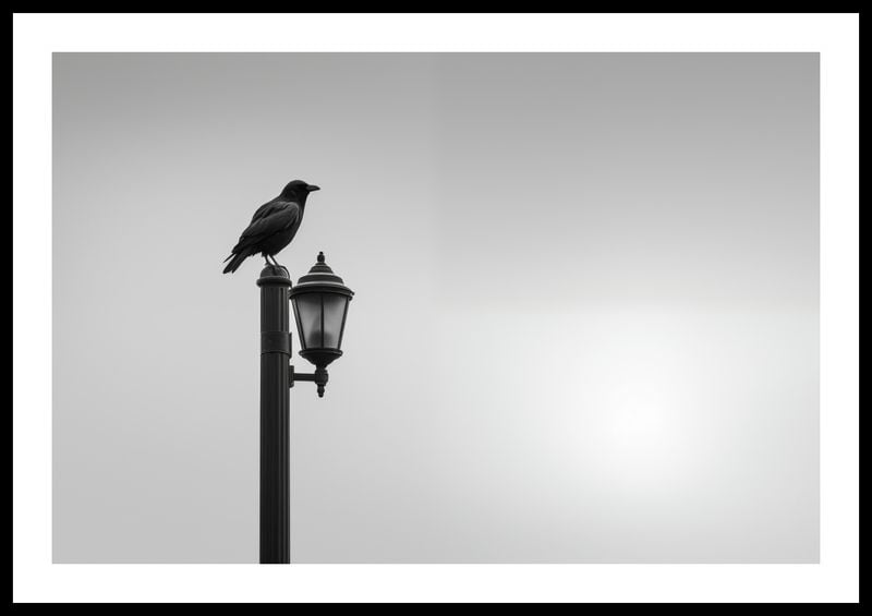 Plakat 60x40cm Samotny Postój Kruka zdjęcie 3