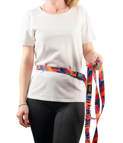 Smycz do biegania z amortyzatorem - Chaba Story III M 25mm/280cm Aussie na Arena.pl