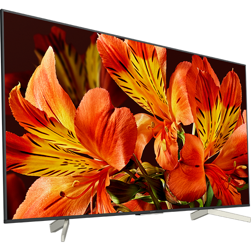 Telewizor SONY KD-43XF8505 na Arena.pl