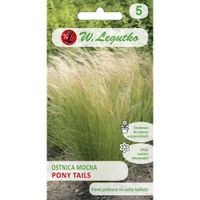 Nasiona, Ostnica mocna Pony Tails - zielona 50g