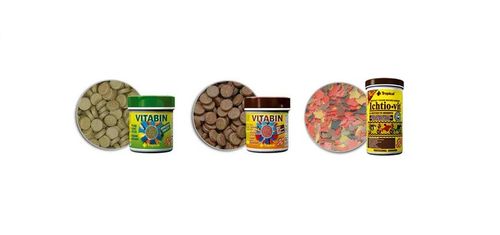 AKWARIUM 60x30x40 PROSTY 72L POKRYWA AQUAEL LEDDY DZIEŃ + NOC + WYPOSAŻENIE na Arena.pl