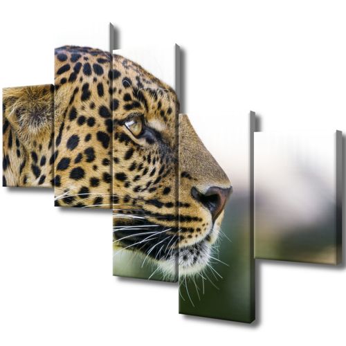Obraz Płótno 100X75 Lampart - Tambako The Jaguar na Arena.pl