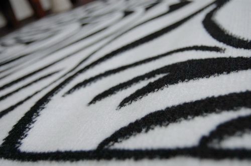 Dywan BCF ZEBRA biało czarna na Arena.pl