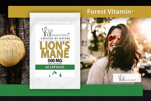Soplówka Jeżowata 500mg 60kap LION'S MANE PAMIĘĆ MÓZG KONCENTRACJA na Arena.pl