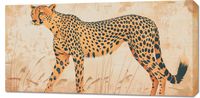 Obraz 100x50cm Gepard w Ruchu