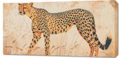 Obraz 100x50cm Gepard w Ruchu