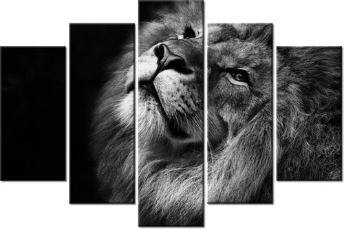 100CM 150CM OBRAZ 5 ELEM SREBRNY LEW ŚCIENNY na Arena.pl