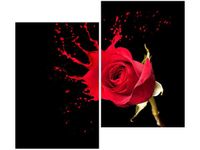 product-compare-58655322