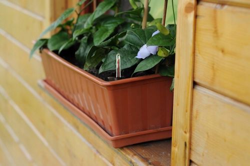 3x Doniczka balkonowa z nawadnianiem IS6CAN Donica na Arena.pl