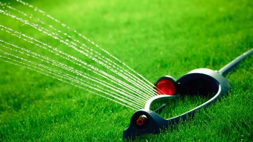 Chwastox Complex 260 EW 1L na Arena.pl