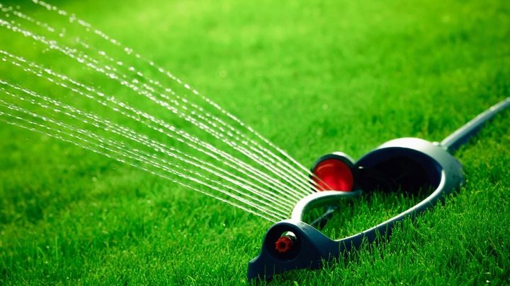 Chwastox Complex 260 EW 1L zdjęcie 9