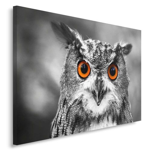 Obraz na płótnie - Canvas, Sowa 2 50x70 na Arena.pl