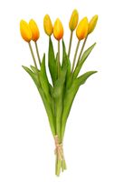 TULIPAN sztuczny TULIPANY SILIKONOWE BUKIET 7 sztuk POMARAŃCZOWE