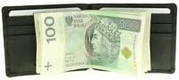 Banknotówka portfel skórzany cienki etui uniseks STOP RFID