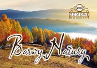 KALENDARZ DOMOWY 2026 TW-10-5 BARWY NATURY