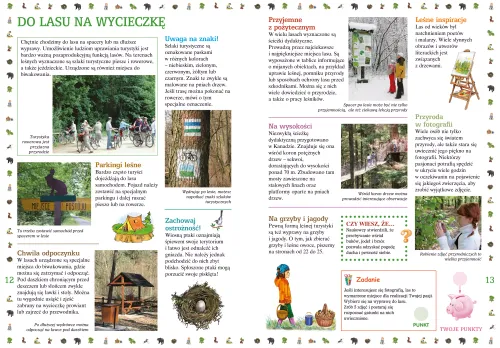 Co nam daje las na Arena.pl