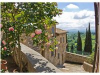 50X70CM RÓŻE BALKONIE OBRAZ POKOJU DREWNINE