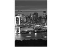 50X70CM TOKYO MOST TĘCZOWY OBRAZ PION ŚCIAN