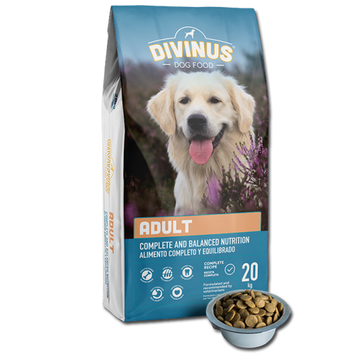 Divinus Adult dla psów dorosłych 20kg na Arena.pl