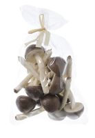 grzybek 4,5x10cm 12szt. | LT11099_06