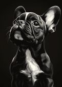 Plakat 50x70cm  Portret Zwierząt do Salonu | Buldog Francuski | Czarno Biał