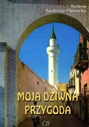 Moja dziwna przygoda zdjęcie 1