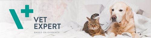 Suplement dla psów małych ras i kotów na sierść VET EXPERT VetoSkin 60 kaps na Arena.pl