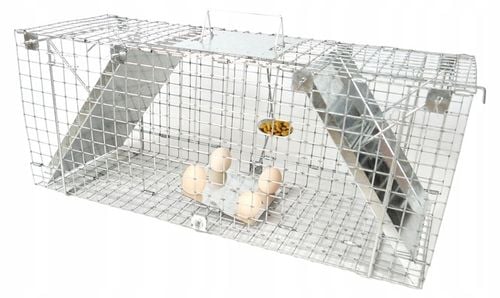 ŻYWOŁAPKA PUŁAPKA NA KUNY SZCZURY ŁASICE NORKI TCHÓRZE ŁASKI ŁAPKA na Arena.pl