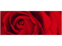 100X40CM CZEWONA RÓŻA OBRAZ DREWNO